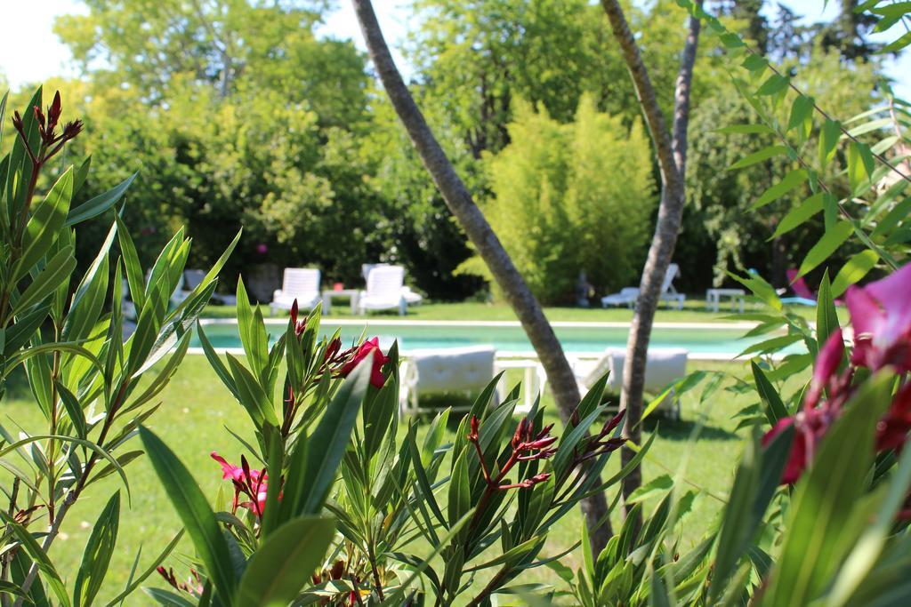 L'Islo Bamboo Saumane-de-Vaucluse Exterior foto